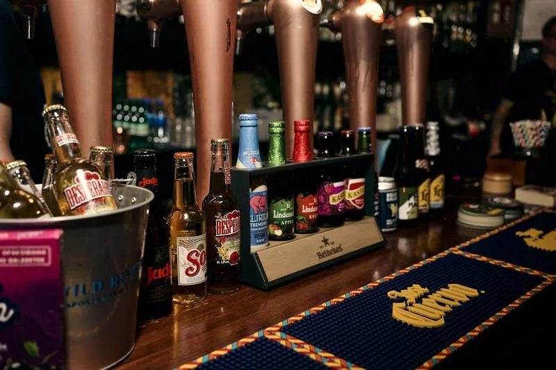 Wild Nights at Wild Rover Barcelona